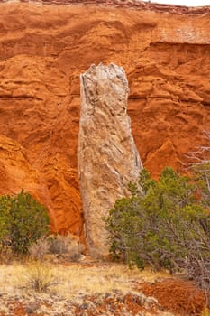 LImestone Tube in a Hidden Red Rock Canyon in Kodachrome Basin State Park in Utah