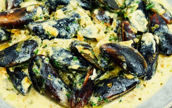 Cooked appetizing mussels in a creamy sauce.Copy space
