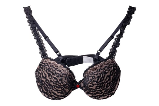 Bra isolated. Closeup of beautiful female stylish black and pink bra  with laces and straps isolated on a white background. Fashionable women underwear.