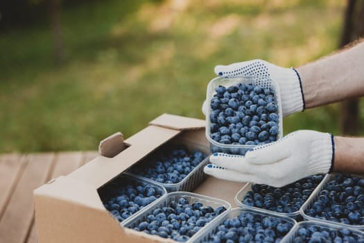 Male hands holding plastic container with large blueberries over cardboard box or crate full of blueberry. Berry shipping, delivery concept. Seller showcase the product. Worker show collected product