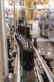 Dark glass bottles being filled with wine by industrial bottling machine at modern wine factory in Italy. Automatic conveyor line for wine-producing