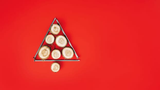 Long nails and wood cuts or branch slabs, laid out in shape of Christmas tree on red background. Banner. Flat lay. Copy space