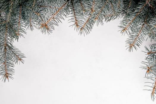 Background image of white uneven concrete surface with Christmas tree branches. Top view. Copy space