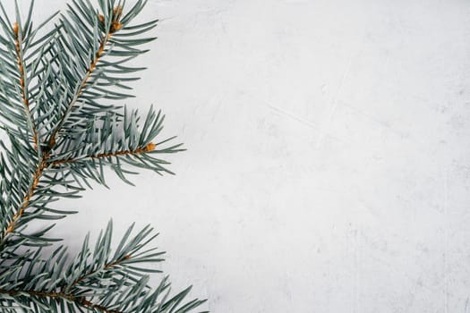 Close up background image of white uneven concrete surface with Christmas tree branch. Top view. Copy space