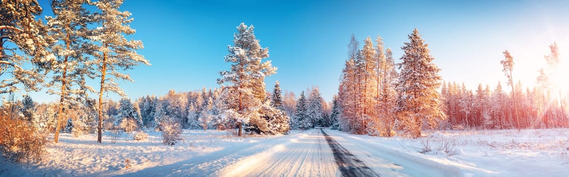 Snowfall on the snowy road in the natural park in winter. Beauriful scenic background.