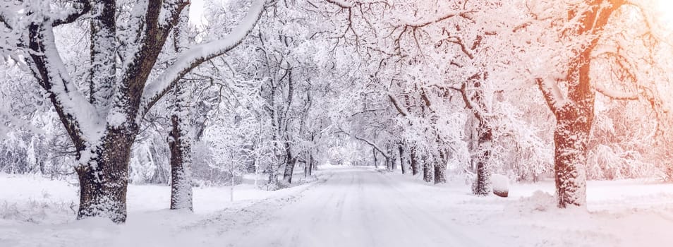 Country road in the natural park in winter morning. Beautiful panoramic view.