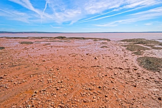 Exposed Sea Floor at Low Tide in the Rocks Provincial Park in New Brunswick