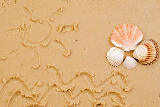 Sun and sea drawed on sand witch shells