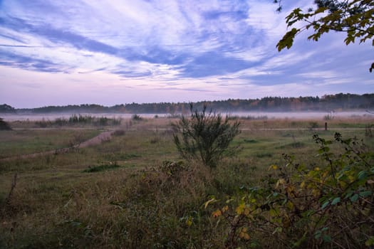 Fore land with fog on grass and heather in Denmark, in front of dunes. Trees and clouds in mystical mood. Landscape shot from Scandinavia