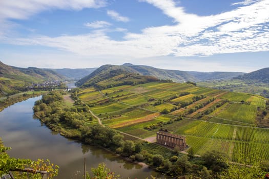 Moselle River in Germany, view of Calmont village and vineyards in the Mosel river valley, Germany