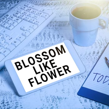 Text sign showing Blossom Like Flower, Business approach person with good qualities that radiates love, happiness, and beauty