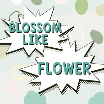 Conceptual display Blossom Like Flower, Internet Concept person with good qualities that radiates love, happiness, and beauty
