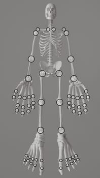 Joint manikin for determining painful swollen joints -- 3D rendering