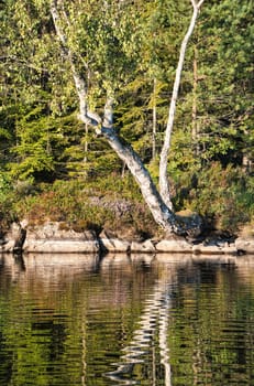 On the shore of a lake with rocks, trees and reflection in the water in Sweden, Smalland. Wild nature in Scandinavia. Landscape photo from the north