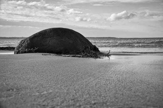 Big stone shot in black and white, on sandy beach in front of sea with clouds in sky. Denmark in Scandinavia. Landscape shot from nature in the north