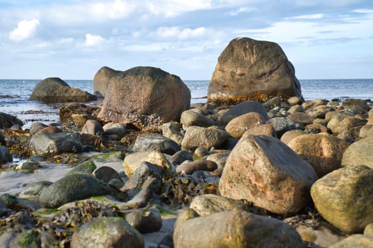 Big stones on stone beach in front of sea with clouds in sky. Denmark in Scandinavia. Landscape shot from nature in the north