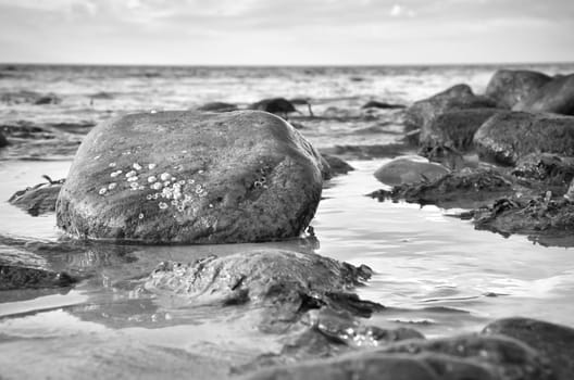 Large stone in black and white taken in the water on the beach in the sea. Danish coast on a sunny day. Landscape shot on the water