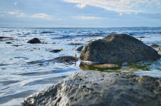 Large stone in the water on the beach in the sea. Danish coast on a sunny day. Landscape shot on the water