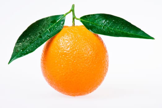 Freash orange with leaves on white background