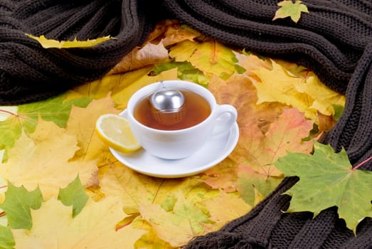 Hot tea on autumn leaves with scarf