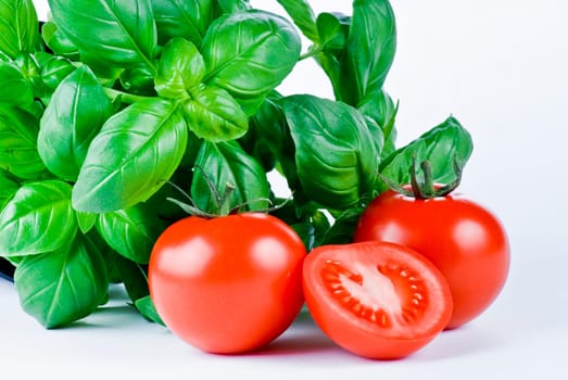 Fresh basil and tomatoes on white background
