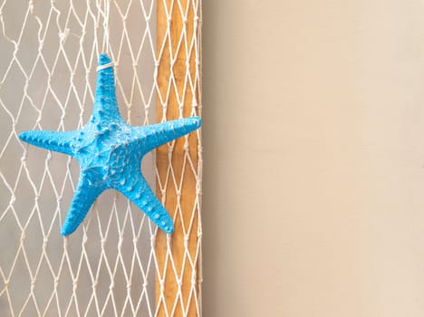 Starfish blue on the white mesh background