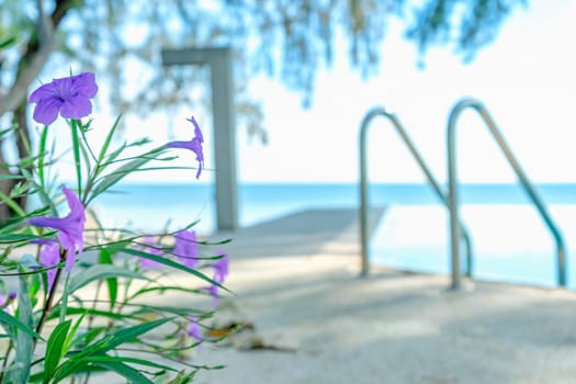 Violet flowers with pool and sea background