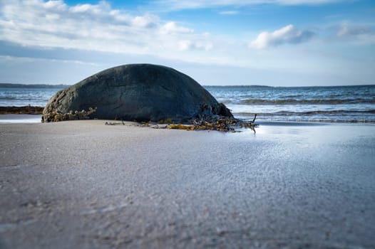 Big stone on the sandy beach in front of the sea with clouds in the sky. Denmark in Scandinavia. Landscape shot from nature in the north