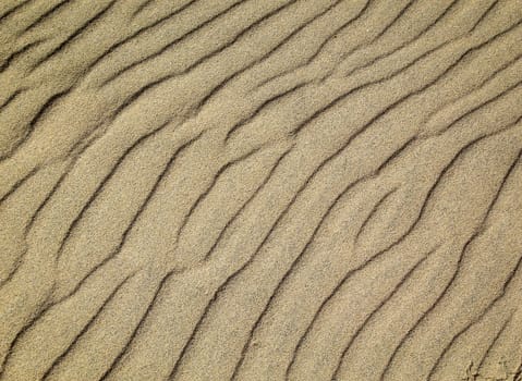 A texture of sand on the beach created by wind and waves.
