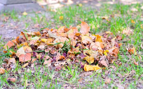 Compost Heap of Waste falling Leaves Picking Up after Clean and gathered in a garden park for Recycling. Natural Waste Management Recycled Material. Zero Waste Sustainable Lifestyle concept.