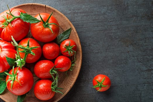 Fresh tomatoes in a plate on a dark background. Harvesting tomatoes. Top view
