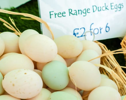 Free range duck eggs in British market
