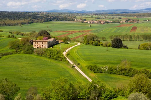 View of a Tuscan hill landscape with green fields and a farm in the background