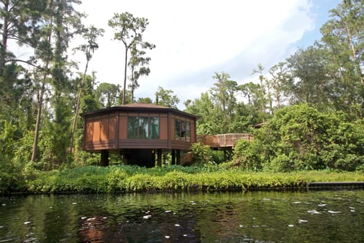 A treehouse in the forest next to a river