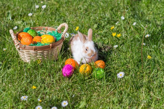 Easter bunny