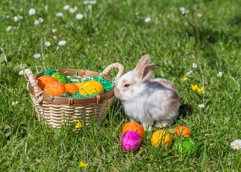 Easter bunny