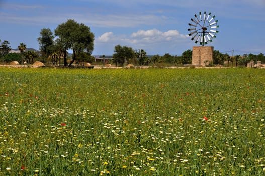 Mill