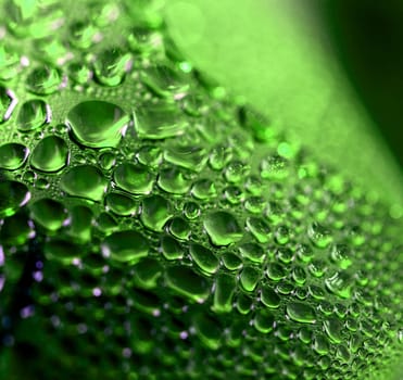 Bright green drops a condensate of color abstract beautifully