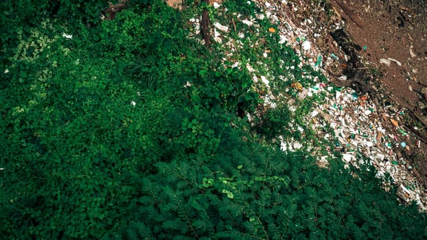 environmental damage of garbage in the nature. garbage and smog in forest . Garbage on the river bank