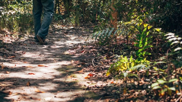 Alone travelling man walking to look around in the nature forest