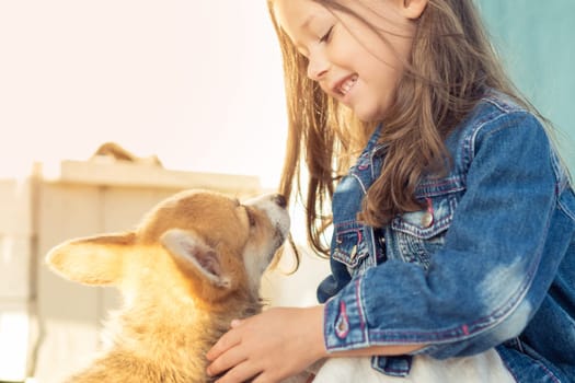 Side view of smiling little girl with long dark hair wearing denim jacket, looking at wonderful welsh pembroke corgi puppy pet, sitting outside near house in yard on sunny day. Pet care, pet love.
