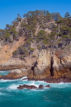 Coastal Trees Growing on Ocean Rocks at Point Lobos State Natural Reserve in California