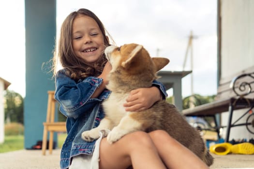 Portrait of laughing little girl with long dark hair wearing denim jacket, holding friendly welsh pembroke corgi puppy pet, having fun, playing, sitting near house in yard. Pet care, animal life.