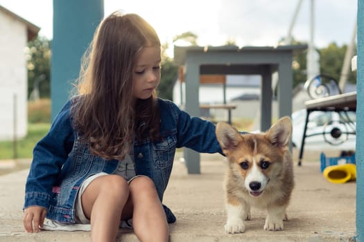 Portrait of serious little girl with long dark hair wearing denim jacket, caressing, stroking fur of amazing welsh pembroke corgi puppy pet, sitting near wooden bench in yard. Pet care, animal life.
