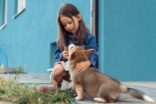 Portrait of cheerful welsh pembroke corgi puppy sitting near beautiful little girl with long hair, looking at pet, caressing, stroking fur near house in yard. Domestic animal, pet care, animal life.