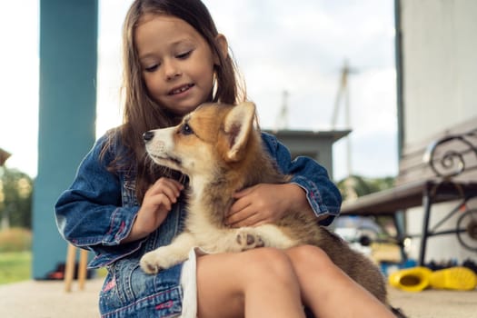 Portrait of smiling little girl with long dark hair wearing denim jacket, embracing fluffy welsh pembroke corgi puppy pet, caressing, stroking fur, sitting near house in yard. Pet care, animal life.