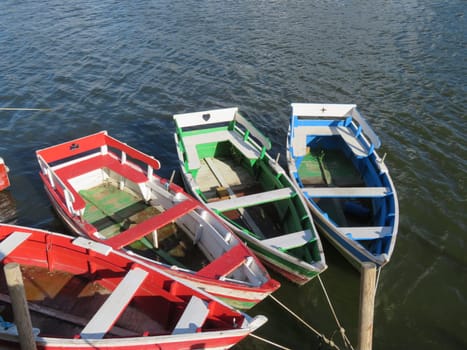 pleasure boats ride sailing fun colors happiness water river