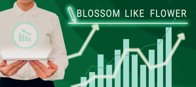 Conceptual display Blossom Like Flower, Concept meaning person with good qualities that radiates love, happiness, and beauty