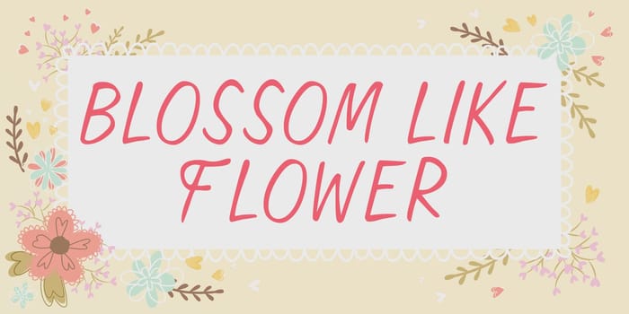 Writing displaying text Blossom Like Flower, Internet Concept person with good qualities that radiates love, happiness, and beauty