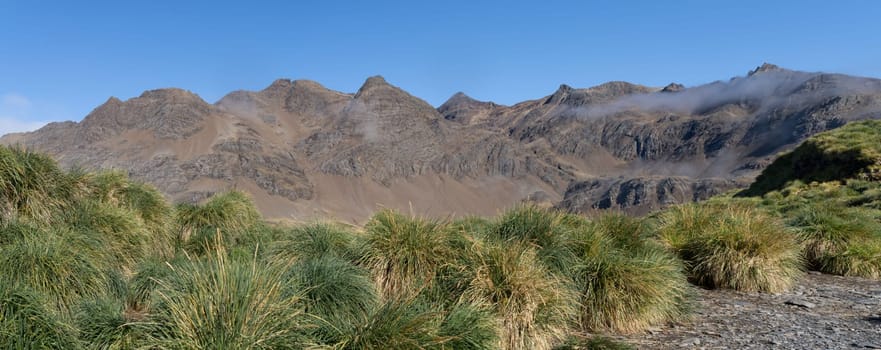 South Georgia Landscape Panorama Cumberland West Bay